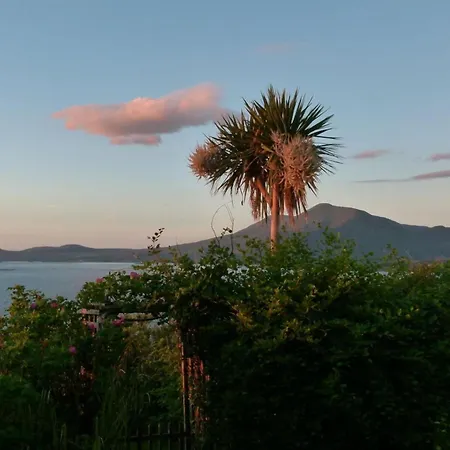 Dolphinwatch House Comfortable 度假居